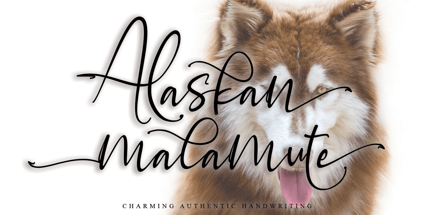 폰트 Alaskan Malamute